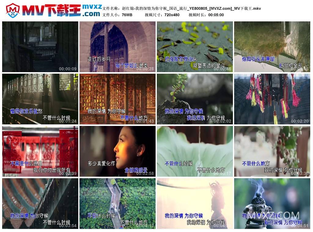 赵红锦-我的深情为你守候_国语_流行_YE800805